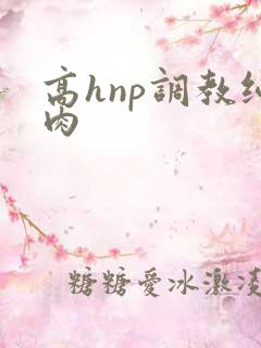 高hnp调教纯肉