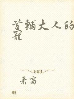 首辅大人的心尖宠