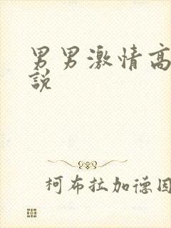 男男激情高h小说