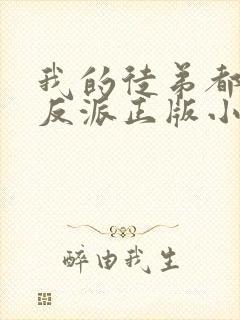 我的徒弟都是大反派正版小说