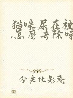 猫咪尿在被子上,怎么去除味道