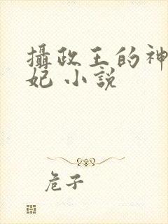 摄政王的神医毒妃 小说