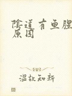 阴道有鱼腥味的原因