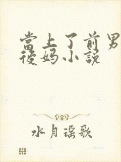 当上了前男友的后妈小说