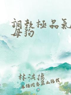 调教极品气质小母狗