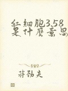 红细胞3.58是什么意思