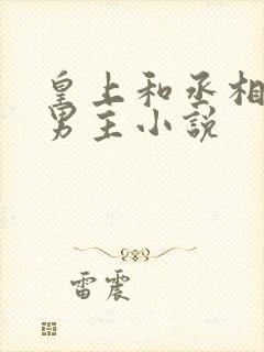 皇上和丞相的双男主小说