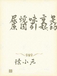 尿烧味重是什么原因引起的