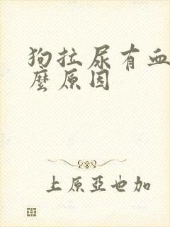 狗拉尿有血是什么原因