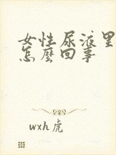 女性尿液里有血怎么回事