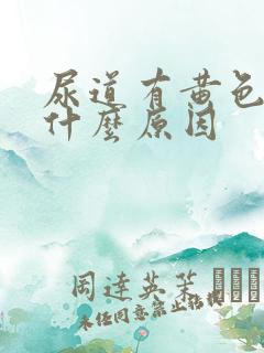 尿道有黄色液体什么原因