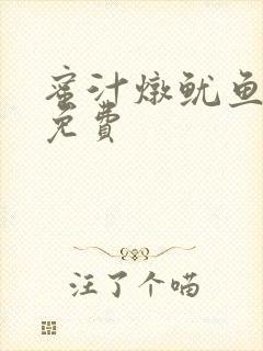 蜜汁炖鱿鱼小说免费