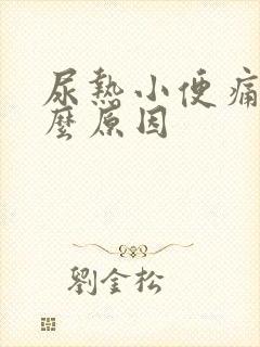 尿热小便痛是什么原因