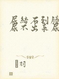 尿结石到膀胱了尿不出来尿怎么办