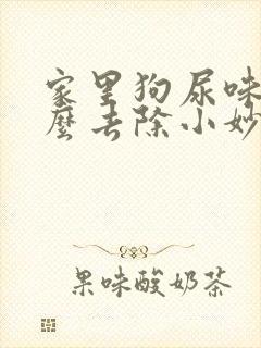 家里狗尿味重怎么去除小妙招