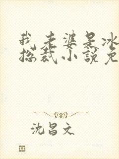 我老婆是冰山女总裁小说免患