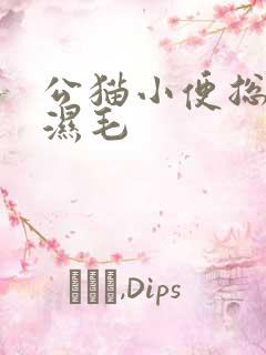 公猫小便总是尿湿毛