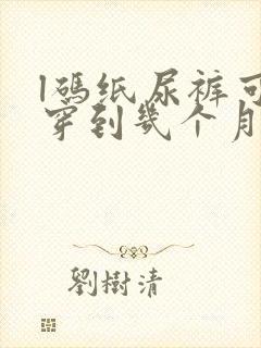 l码纸尿裤可以穿到几个月