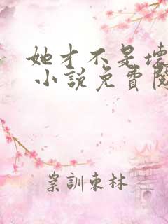 她才不是坏女人 小说免费阅读