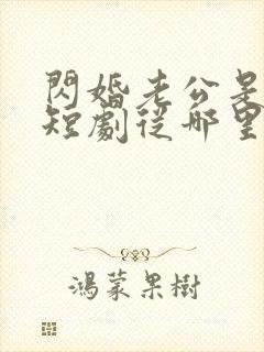 闪婚老公是总裁短剧从哪里看全片