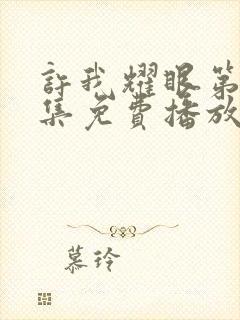 许我耀眼第36集免费播放