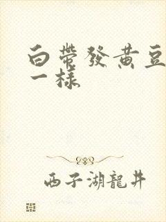 白带发黄豆腐渣一样