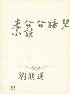 老公公睡儿媳妇小说