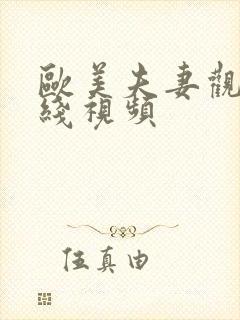 欧美夫妻观看在线视频