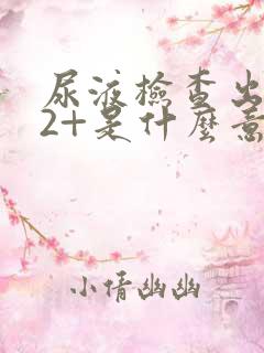 尿液检查出潜血2+是什么意思