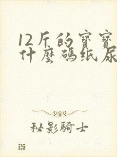 12斤的宝宝穿什么码纸尿裤