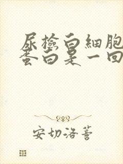 尿检白细胞和尿蛋白是一回事吗