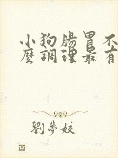 小狗肠胃不好怎么调理最有效