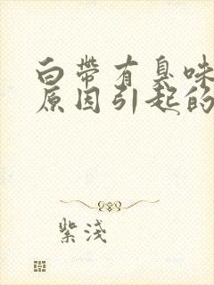 白带有臭味什么原因引起的