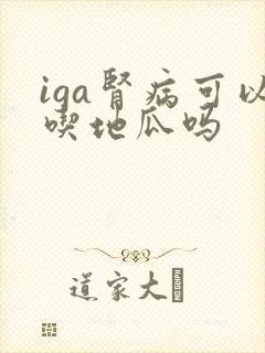 iga肾病可以吃地瓜吗