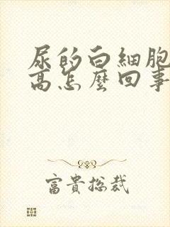 尿的白细胞计数高怎么回事