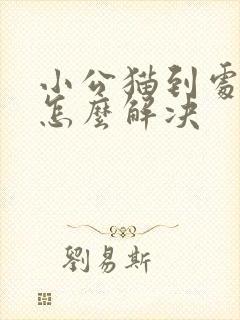 小公猫到处尿是怎么解决