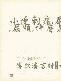 小便刺痛,尿急,尿频,什么原因引起