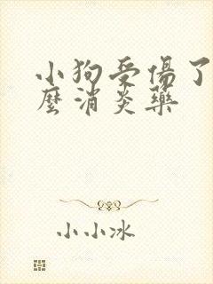 小狗受伤了吃什么消炎药