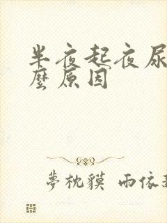 半夜起夜尿尿什么原因