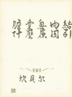 胆囊息肉结石是什么原因引起的