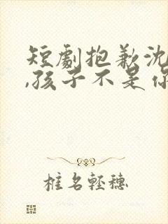 短剧抱歉沈先生,孩子不是你的免费观看