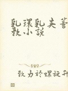 乳环乳夹蒂环调教小说