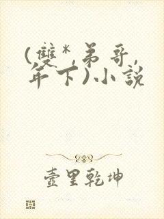 (双*,弟哥,年下)小说