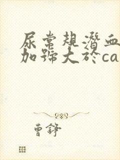 尿常规潜血3个加号大于ca200