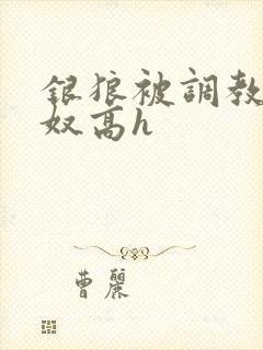 银狼被调教成肉奴高h