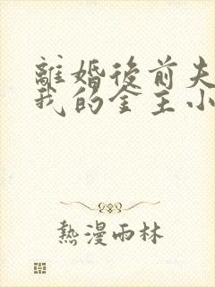 离婚后前夫成了我的金主小说