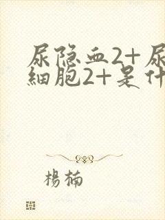 尿隐血2+尿红细胞2+是什么意思