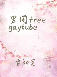 男同free gaytube