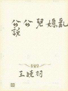 公公儿媳乱论小说