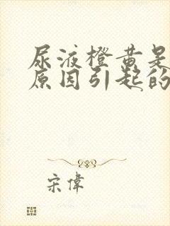 尿液橙黄是什么原因引起的